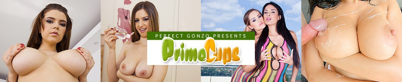 Prime Cups баннер