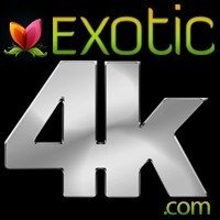 Студия Exotic4K