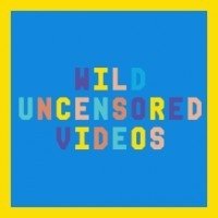 Wild Uncensored Videos аватар