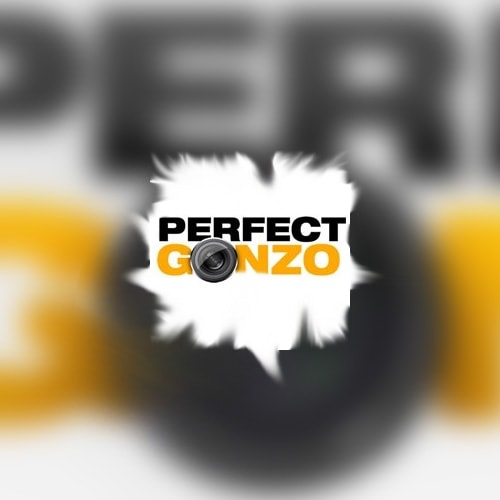 Студия Perfect Gonzo