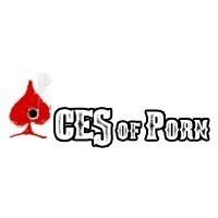 Студия Aces Of Porn