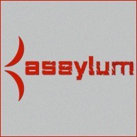 Порно-студия Assylum